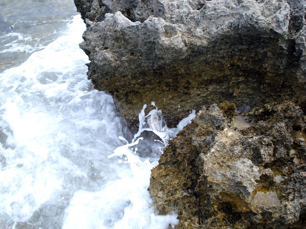 DSC06223