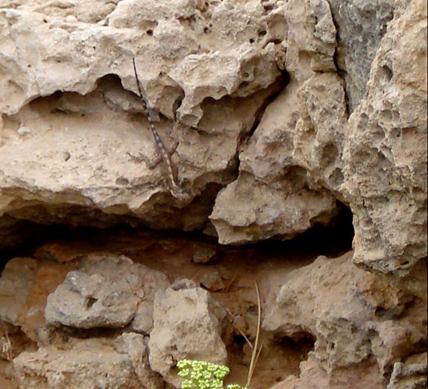 DSC06407