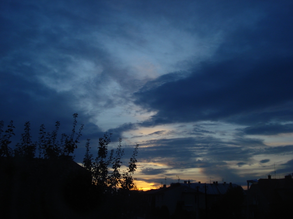DSC06618