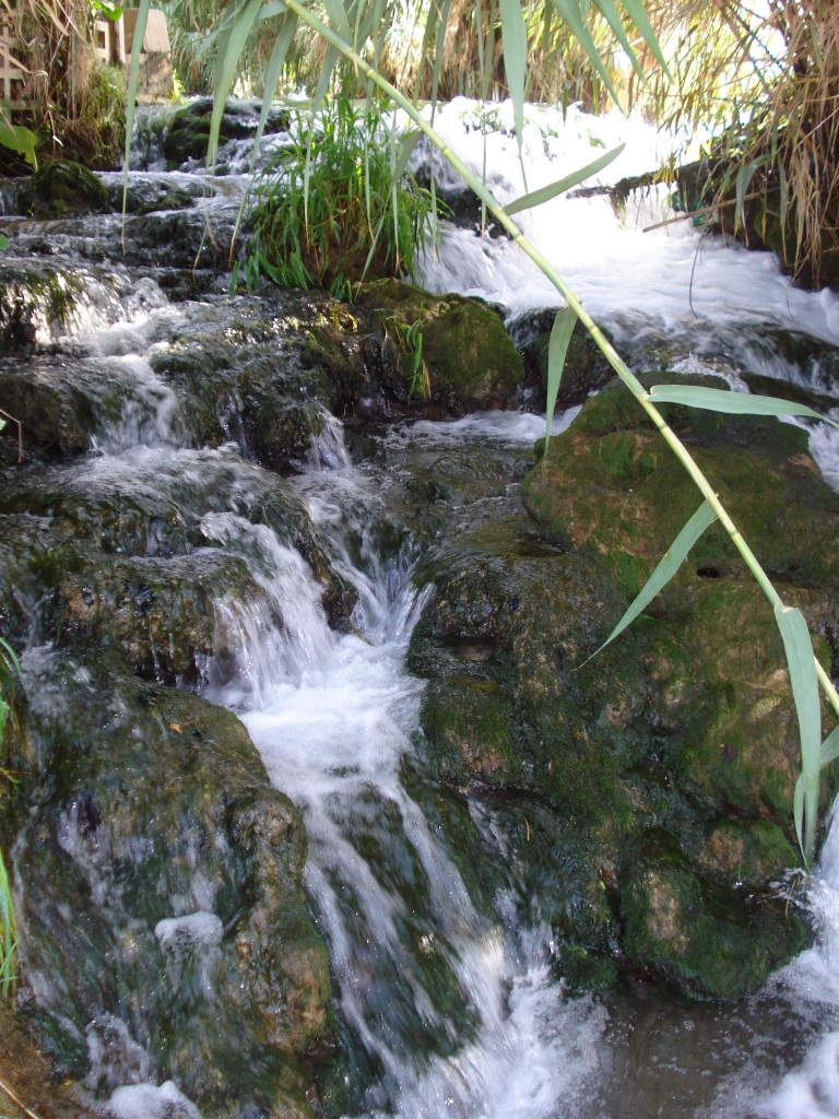 DSC09160