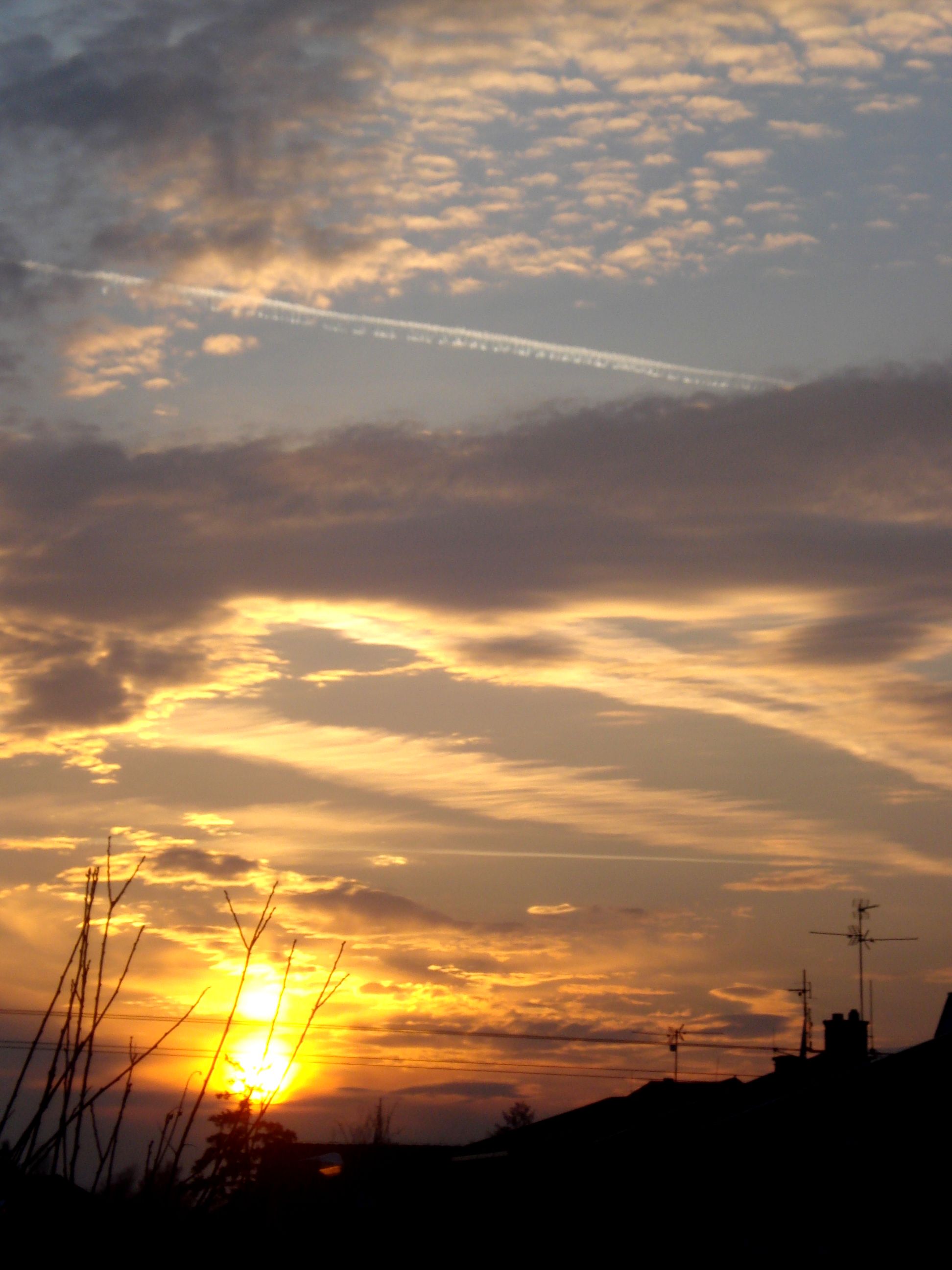 DSC09408